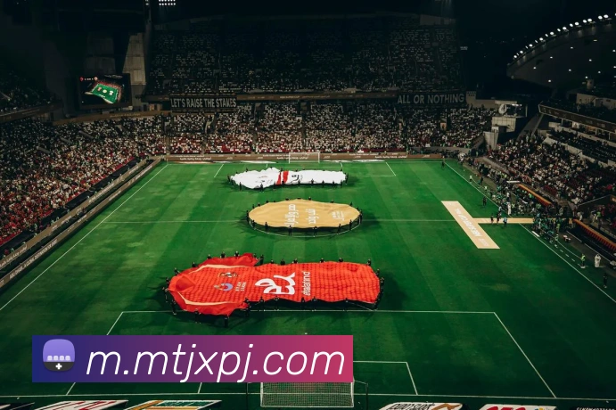 澳门新葡京官方网站服务体系